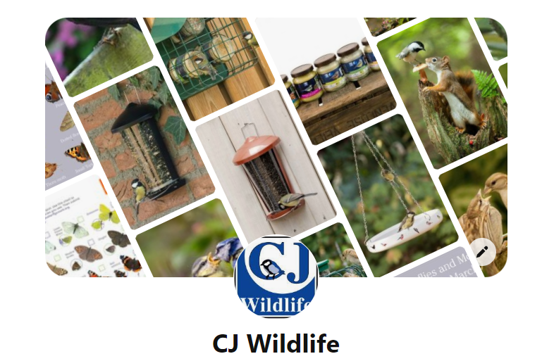 CJWildlife's tweet photo. Did you know we also have a Pinterest channel?

Check it out here and please give us a follow - https://t.co/AwQZlXg0I8

#GardenWildlife #athomewithnature #feedthebirds https://t.co/stz5CQJFOc