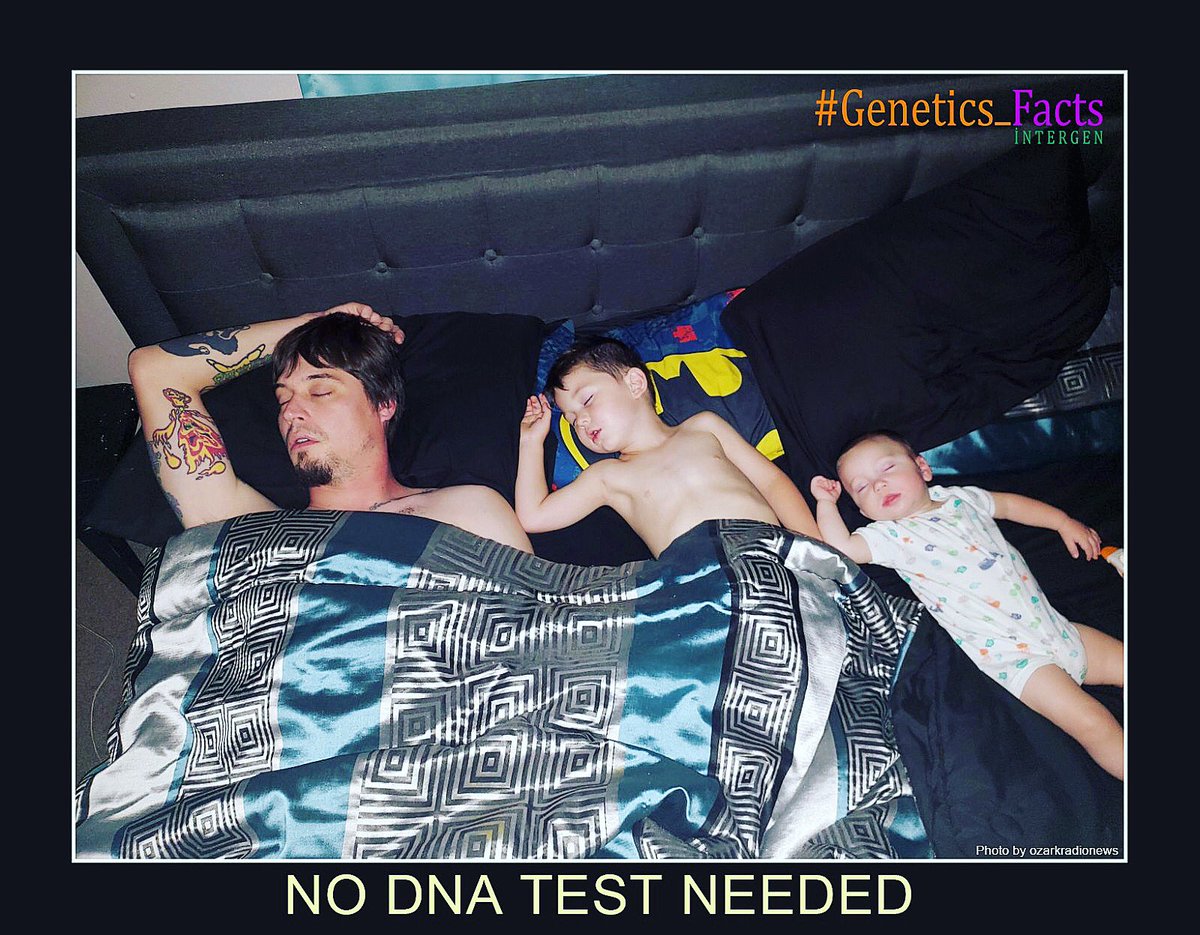 Intergengenetic's tweet photo. DNA TESTİNE GEREK YOK - NO DNA TEST NEEDED

#Genetik_Gerçekler: DNA'mızın %50'sini annemizden, %50'sini babamızdan alıyoruz. (her birinden 23 er #kromozom)

#Genetics_Facts: We get 50% of #DNA from our #mother and 50% from our #father (23 #chromosomes from each)
#intergengenetics https://t.co/xclAwP7RsY