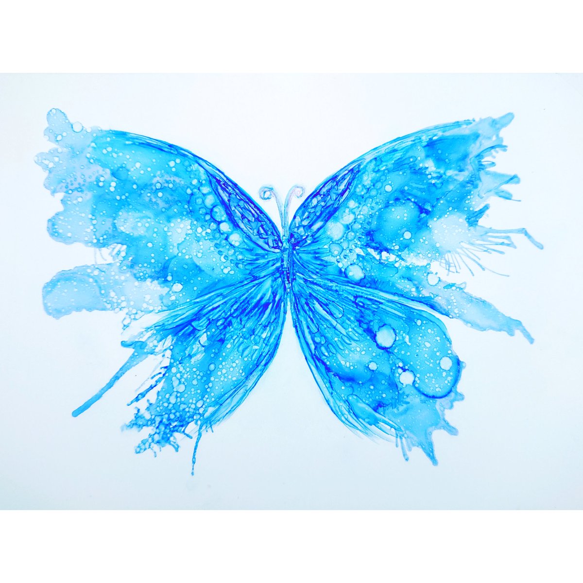 blue theme no humans simple background white background bug traditional media butterfly  illustration images