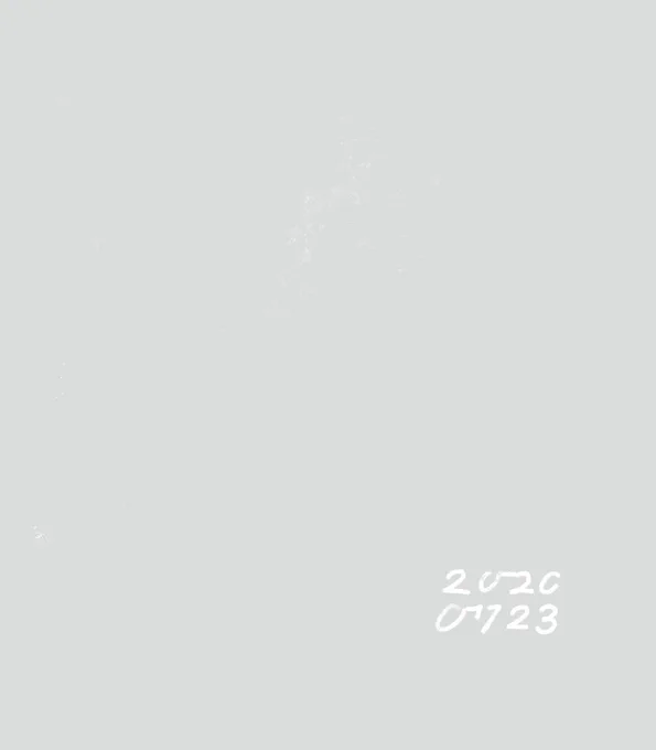 →(2020) 