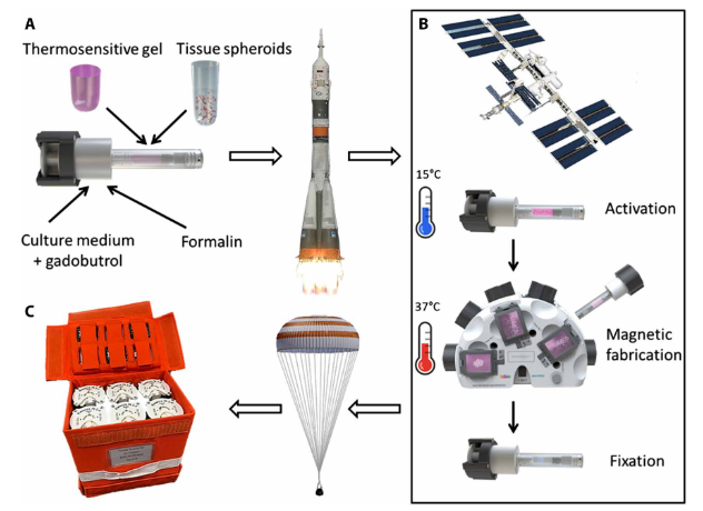 Miguel JS Ferreira tweet media
