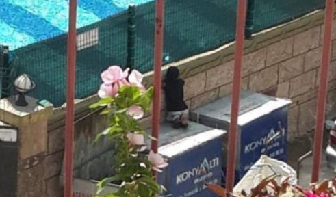 pusholder's tweet photo. Antalya'da, bir sitenin havuzundaki çocukları izlemek için çöp konteynerinin üzerine çıkan 10 yaşındaki kağıt toplayıcısı M.H., fotoğrafının sosyal medyada paylaşılması üzerine Konyaaltı Belediyesi ekipleri tarafından kardeşleriyle birlikte havuza götürüldü. https://t.co/mMSplSfKMi