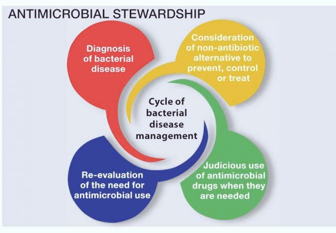 M_Chris10's tweet photo. Antimicrobial stewardship #AMS is a multidisciplinary approach; however many programmes still struggle to achieve the reach thus education &amp; engagement of all healthcare providers is required.  #HCPs #AMR #AntibioticResistance #Pharmacist @reactgroup @MirfinM  @_Jeremy_Knox https://t.co/im44wcbgCt