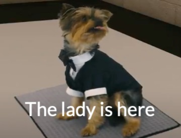 evamirandag's tweet photo. Good morning twitter! I couldn't resist #wmib #womeninmath The lady is here! https://t.co/Bj5UzeyM7l