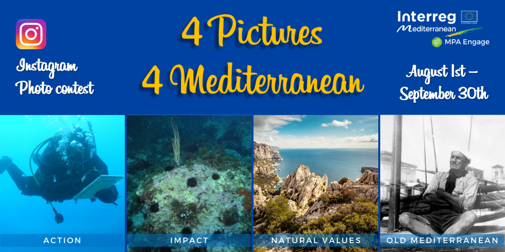 MPA4Change's tweet photo. Big News! In August, you’ll be able to participate in a photo contest that we are launching in our MPAs through our Instagram @mpaengage. There are 4 categories:

#ImpactMPA
#ValueMPA
#OldMPA
#ActionMPA

Wanna know more? Stay tuned and follow us on Instagram!

#photocontest https://t.co/uhfZX8MAH0
