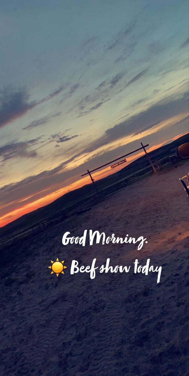 thecirclelranch's tweet photo. We are thankful to be headed to our county fair Beef Show!! #beefshow #beef #circlelranch #countyfair https://t.co/62muEjiIpE