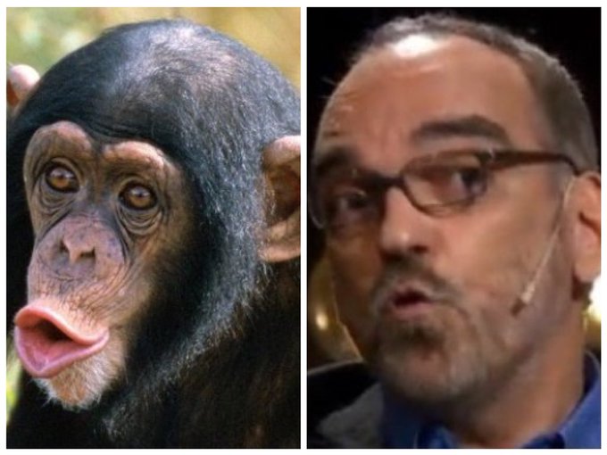 Encontra la unica diferencia!