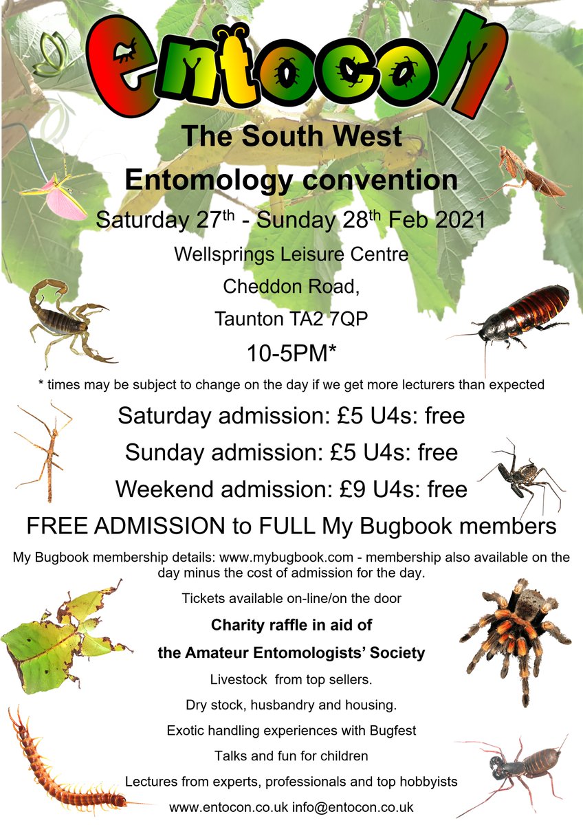 Bugfest's tweet photo. Lots going on in the world of Bugfest. New show for 2021, and a new wildlife magazine - pop over to https://t.co/MRFYcloBFL to see more. https://t.co/3VQNHvKmXl
