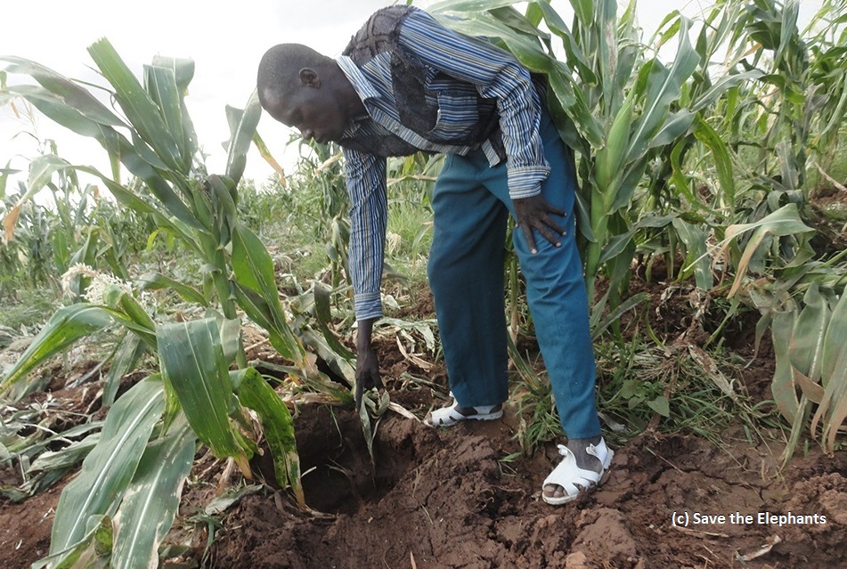 2/6  #HumWild1  #DICECON20 eg. NGOs from the North, lobby against Sthn African policy of promoting  #coexistence through sustainable wildlife use. For policies to be relevant in the global south, influencers should put themselves in the shoes of local to understand their realities