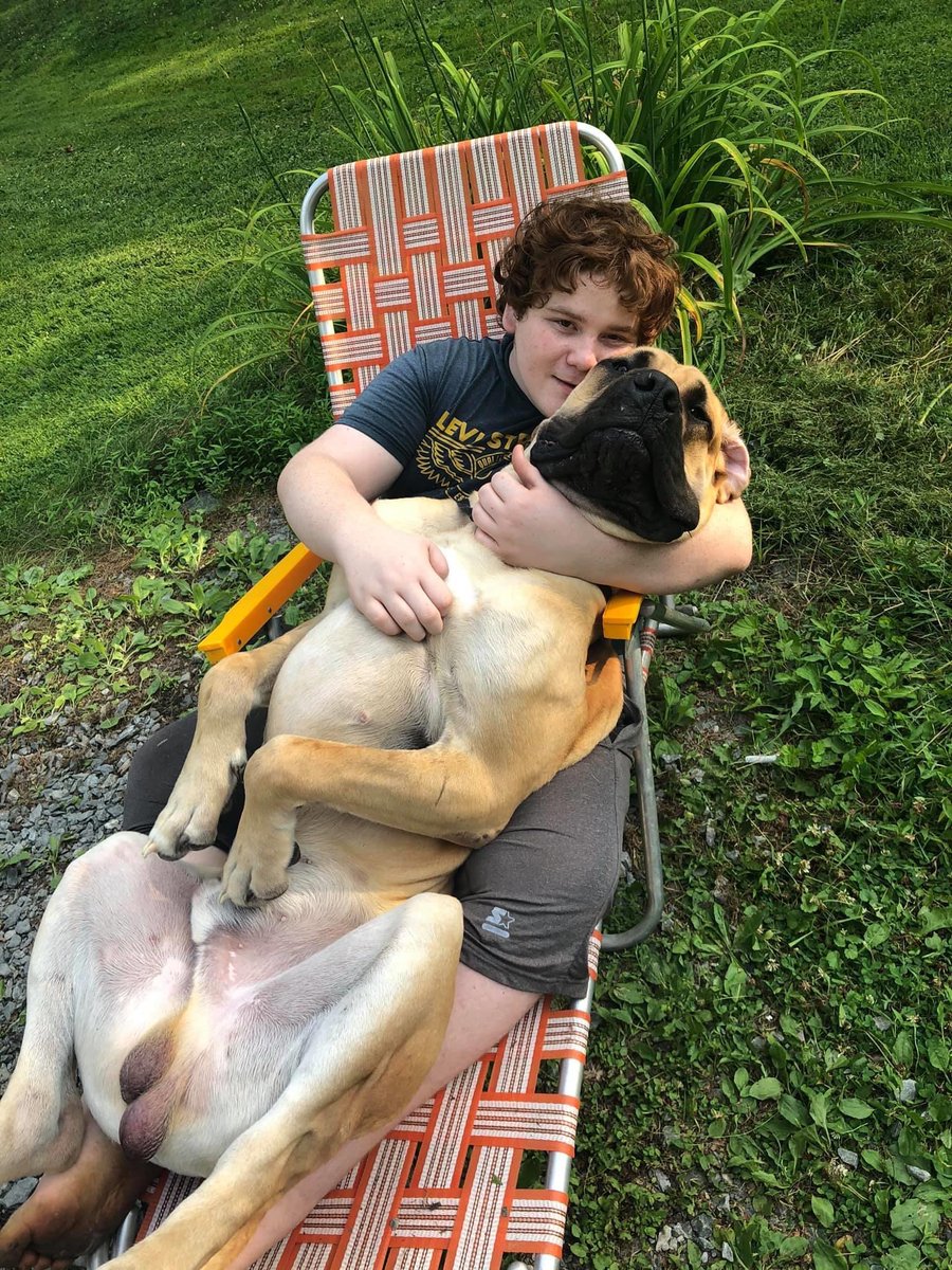NerrissaGlad's tweet photo. 4th of July with 400 lb of dog and 400 lb of teenager https://t.co/0uiCFxDRoa