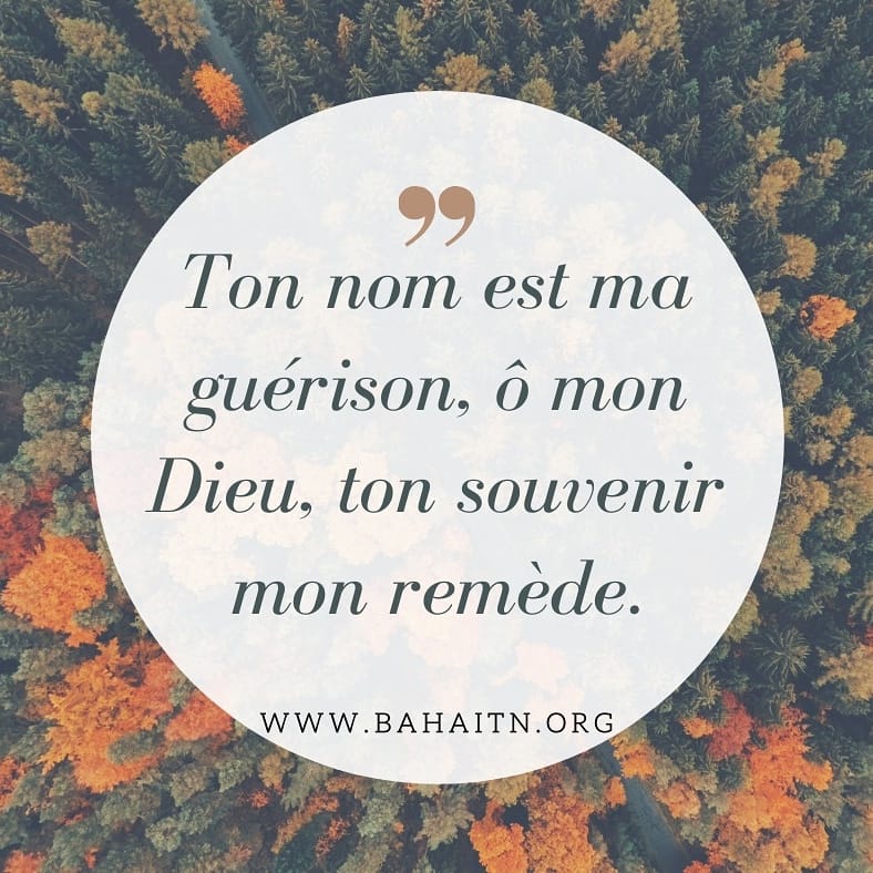 bahaistunisie's tweet image. #Bahai #unity_in_diversity #Bahaitunisia
