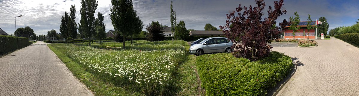 MartijnStruijf's tweet photo. Wat vorig jaar nog een “saai” grasveld was is nu een prachtige #insectentuin geworden vol met eetbare planten en besdragende struiken. Een mooi voorbeeld van een goede samenwerking tussen buurtbewoners, @landschapnh en @Castricum_NL  #meerbiodiversiteit https://t.co/51LvARV800