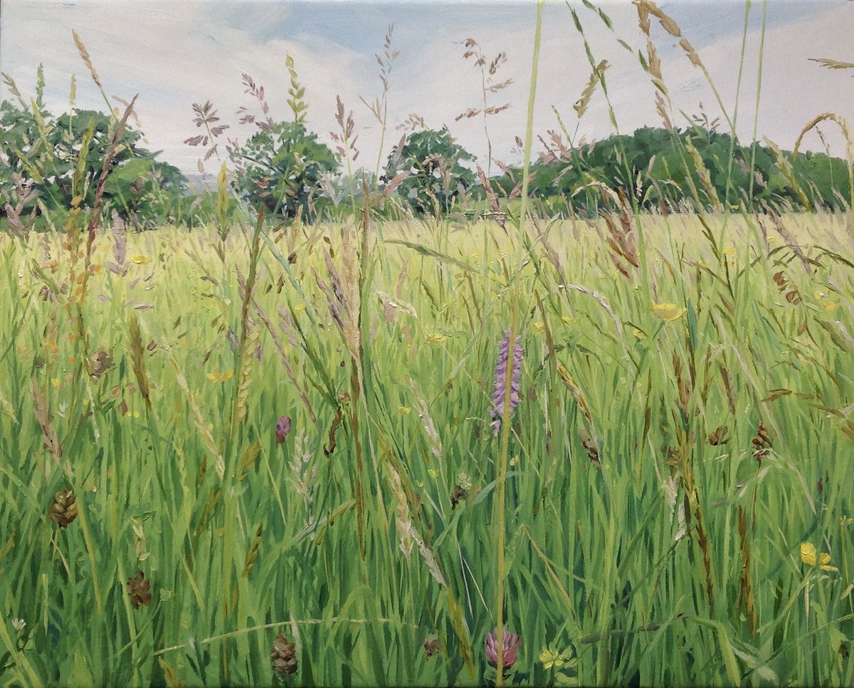 AppleStoreGall's tweet photo. We invite you to visit Herefordshire Wildflower Meadows through our gallery and online exhibition celebrating the work of #HerefordshireWT. Gallery open Wed to Sat, 10am to 1pm. Other times by arrangement. #AppleStoreGall https://t.co/pAh4vOwM2K