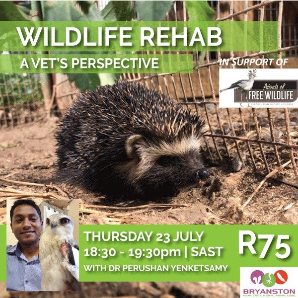 Last chance to get tickets for tonight's webinar #Wildliferehabilitation #Wildlife #conservation #Iamtourism