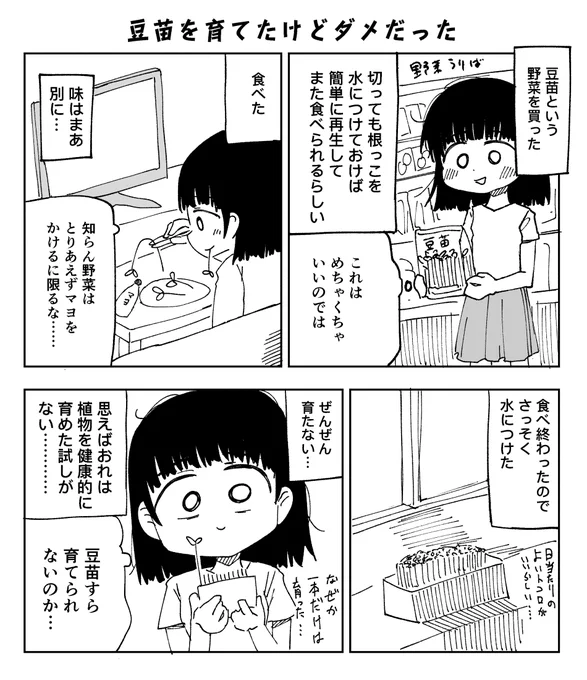 豆苗育てたけどダメだった 