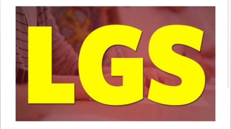 LGS ortaöğretim kurumlarına tercih ve yerleştirme süreci başladı. Tercih işlemleri, Bakanlığın meb.gov.tr veya eokul.meb.gov.tr internet adreslerinde yayımlanan tercih listelerine göre, öğrenci velisi tarafından 20-29Temmuz 2020 tarihleri arasında yapılacaktır