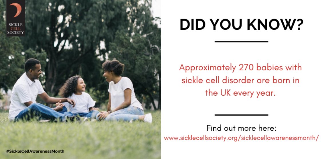 Grace Allen tweet media