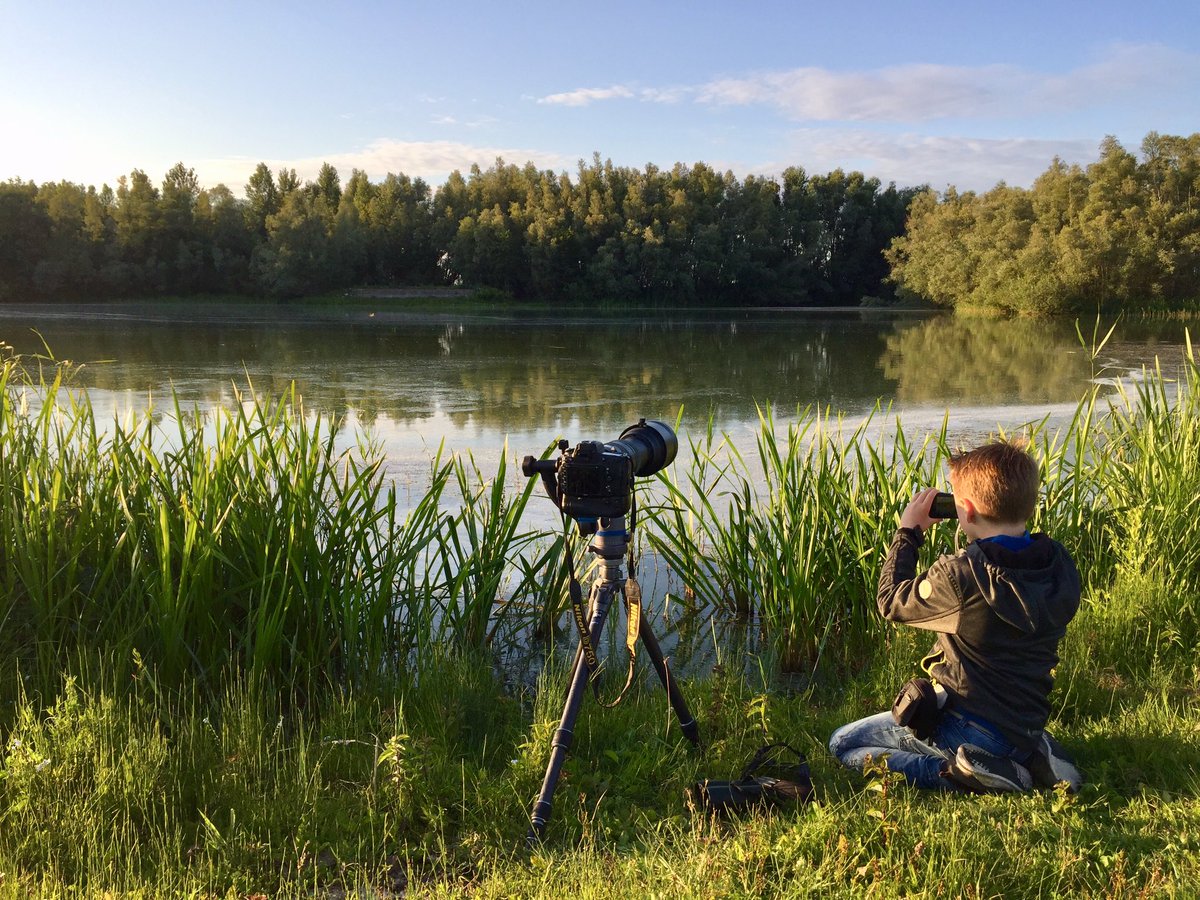 Natuurbeleving moet je doorgeven! Gisteravond met ons zoontje (7) bevers gespot in de #Struikwaard: ‘Deze avond vergeet ik nooit meer, papa’!