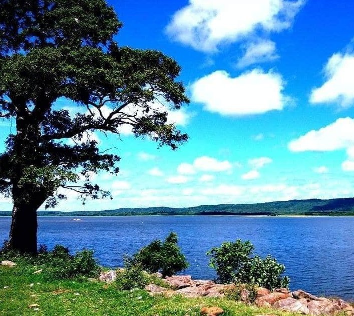 WTrinco's tweet photo. #Kantale #Dam (#கந்தளாய் #அணை) is a #large #embankment dam #built in Kantale #Trincomalee District #SriLanka, used for #irrigation.
⭕Don't Quit Your Day Dream
#Gatewaytoeast #Technowomen #technology #nature #travelblogger #fun #NaturePhotography
#naturelovers #technews #beauty https://t.co/h4irgW6IHI