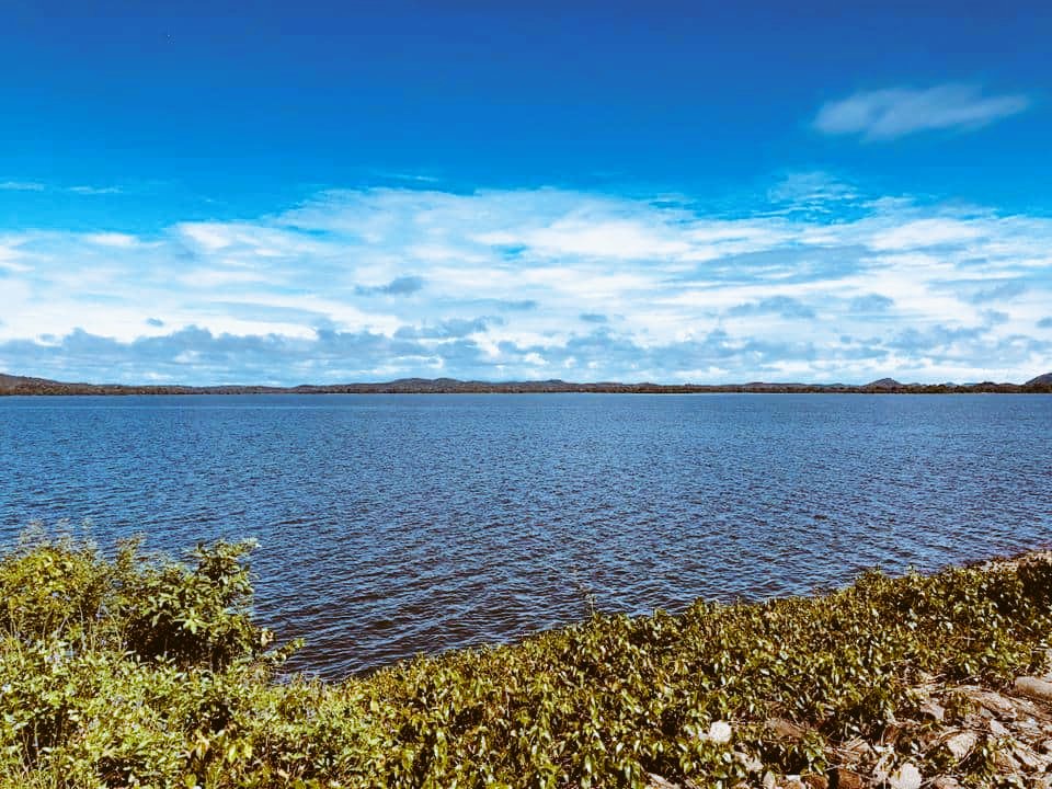 WTrinco's tweet photo. #Kantale #Dam (#கந்தளாய் #அணை) is a #large #embankment dam #built in Kantale #Trincomalee District #SriLanka, used for #irrigation.
⭕Don't Quit Your Day Dream
#Gatewaytoeast #Technowomen #technology #nature #travelblogger #fun #NaturePhotography
#naturelovers #technews #beauty https://t.co/h4irgW6IHI