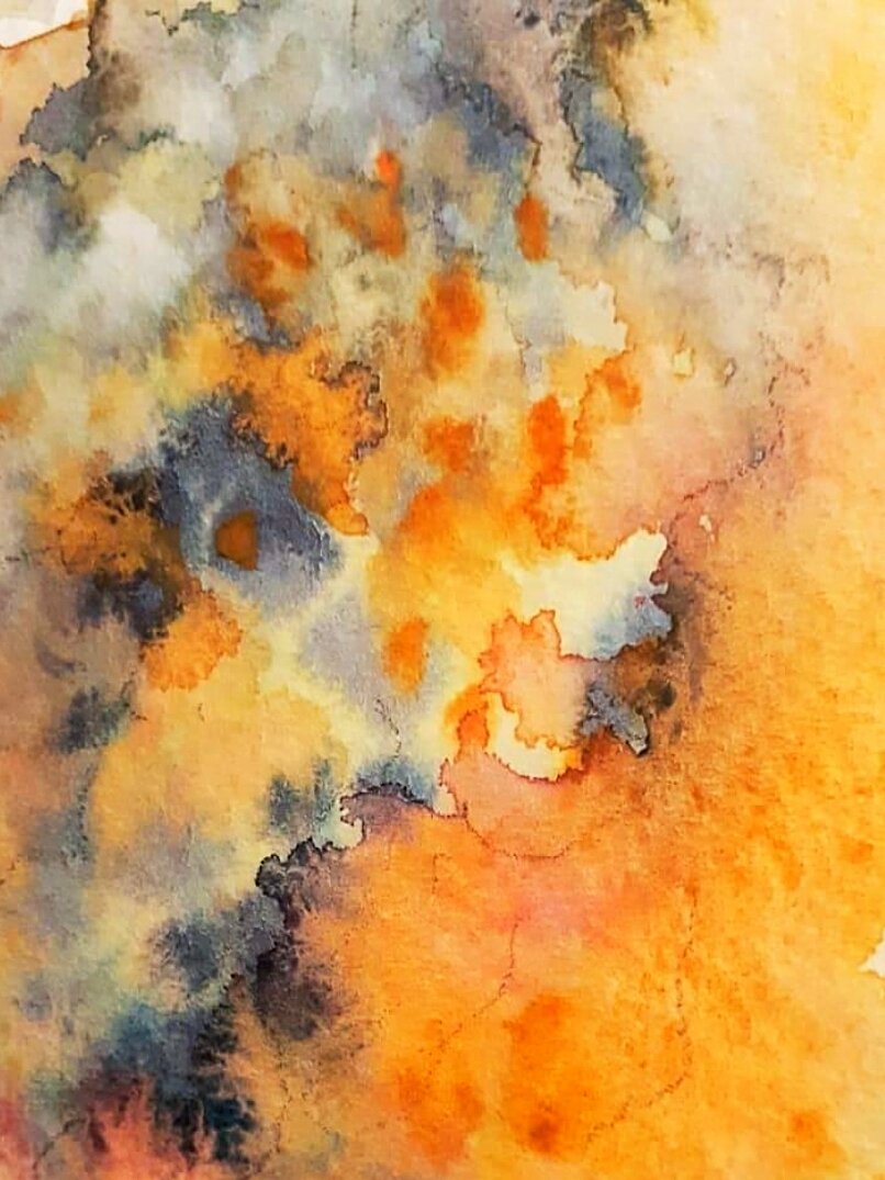 juliaeven_art's tweet photo. @Guedjsorghum @juliappro @AGRONUTRITION Petit teaser. Sorgho en construction https://t.co/VAOtDYcj1f
