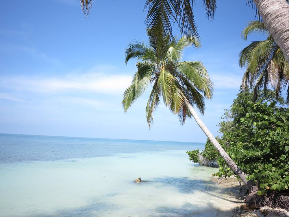 pvtistes's tweet photo. 🌴 #Plages paradisiaques
💙 Eau turquoise des #Caraïbes
🐠 Poissons exotiques
🐚 Corail
🌿 Mangrove
Bienvenue dans le parc national le plus visité de #Colombie, le Parque Natural Corales del Rosario y San Bernardo, dans le nord du pays. 😎 #PVTColombie https://t.co/r2KzFkvRLE