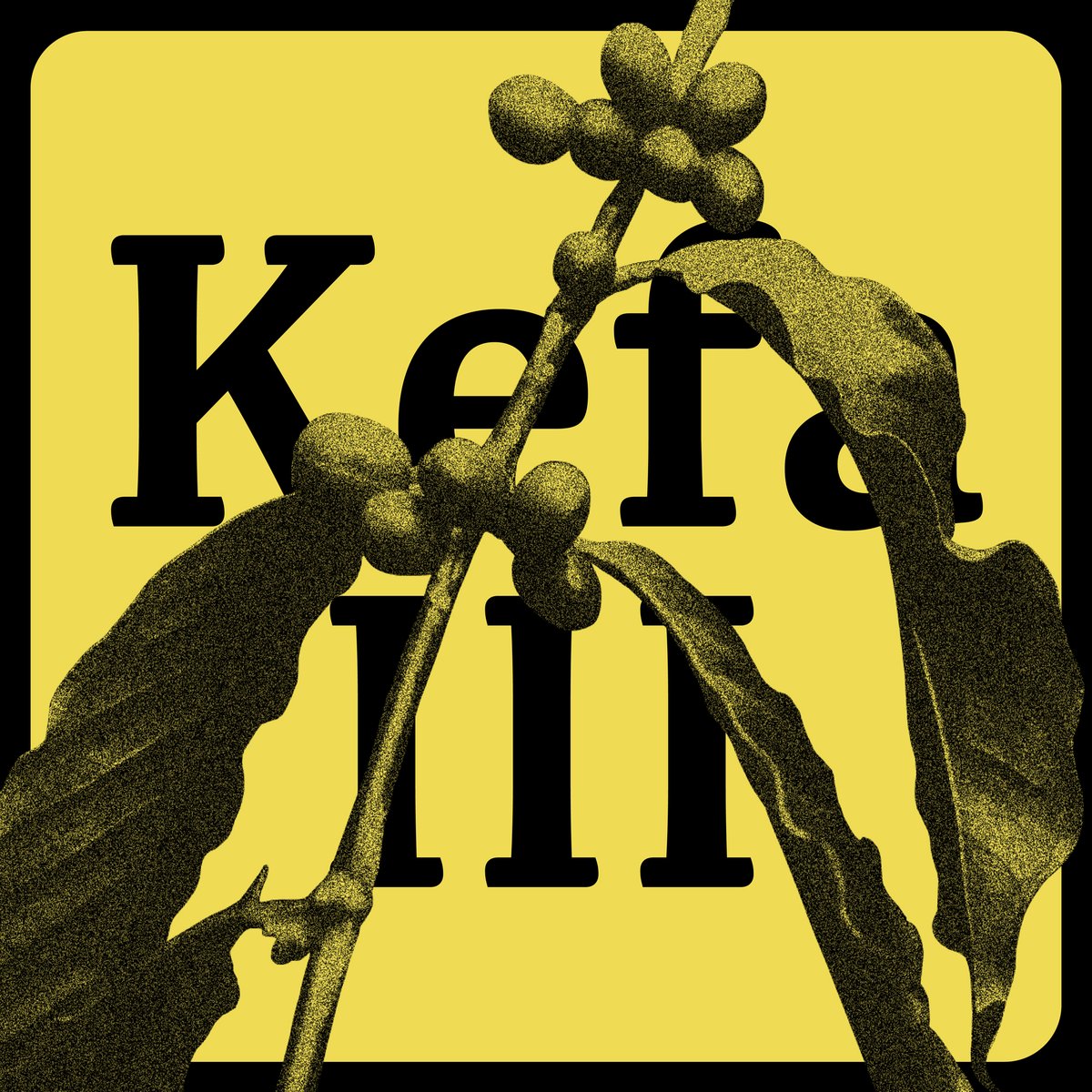 blackfoundry's tweet photo. New font release: Kefa III
The third version of Kefa is out with 4 weights & Italics from Light to Extrabold.
Try or buy online: https://t.co/XpOQQhtCMW
#kefaIII #typeface #fonts #typography #typeandtech #typedesign #design https://t.co/ay84F6zQ10
