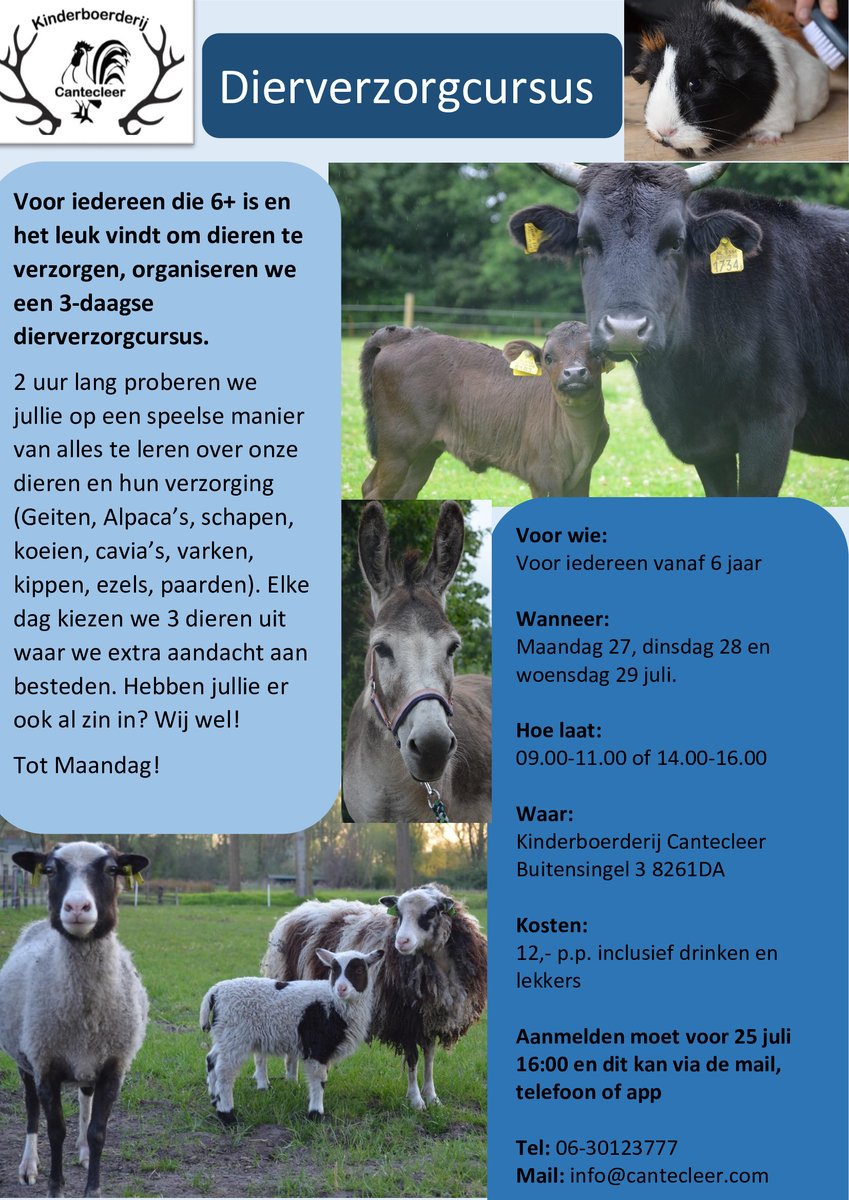🐑Dierverzorgcursus bij de Cantecleer🐴
✅Ma 27 juli 09.00-11.00 of 14.00-16.00
✅Di 28 Juli 09.00-11.00 of 14.00-16.00
✅Wo 29 juli 09.00-11.00 of 14.00-16.00
✅Er zijn nog plaatsen beschikbaar.
✅Kun je niet die dag? Er zijn meer activiteiten!
🌍cantecleer.com/zomeractivitei…