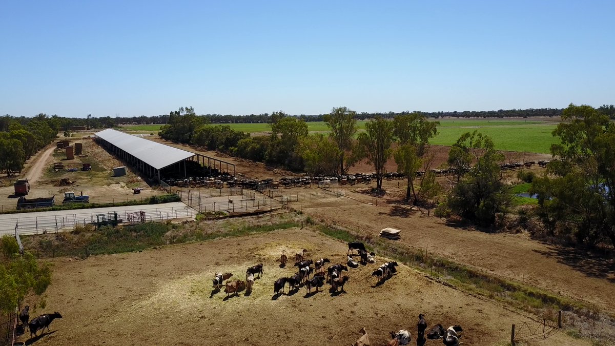 Rabobank Australia tweet media