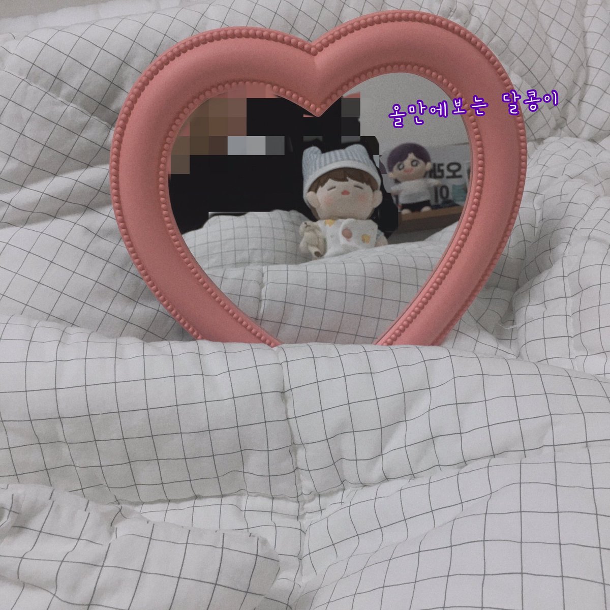 요즘 하트거울이 핫하더라구요?
아뱌처럼 인싸에 밀리지않는 뭉이!
그리고 오랜만에보는 달콩이까지🥰

#짼뭉이 #김재환인형  #달콩이