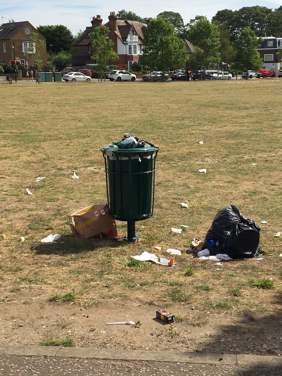 Gareth_Roberts_'s tweet photo. How is it that people are happy enough to drive all the way to McDonalds, buy their takeaway and then drive it back down to #Hampton Green and yet they’re too bloody bone idle or too bone headed to recognise the bin is full and take their rubbish home? @LBRuT_Help https://t.co/Z6KWMXn05c