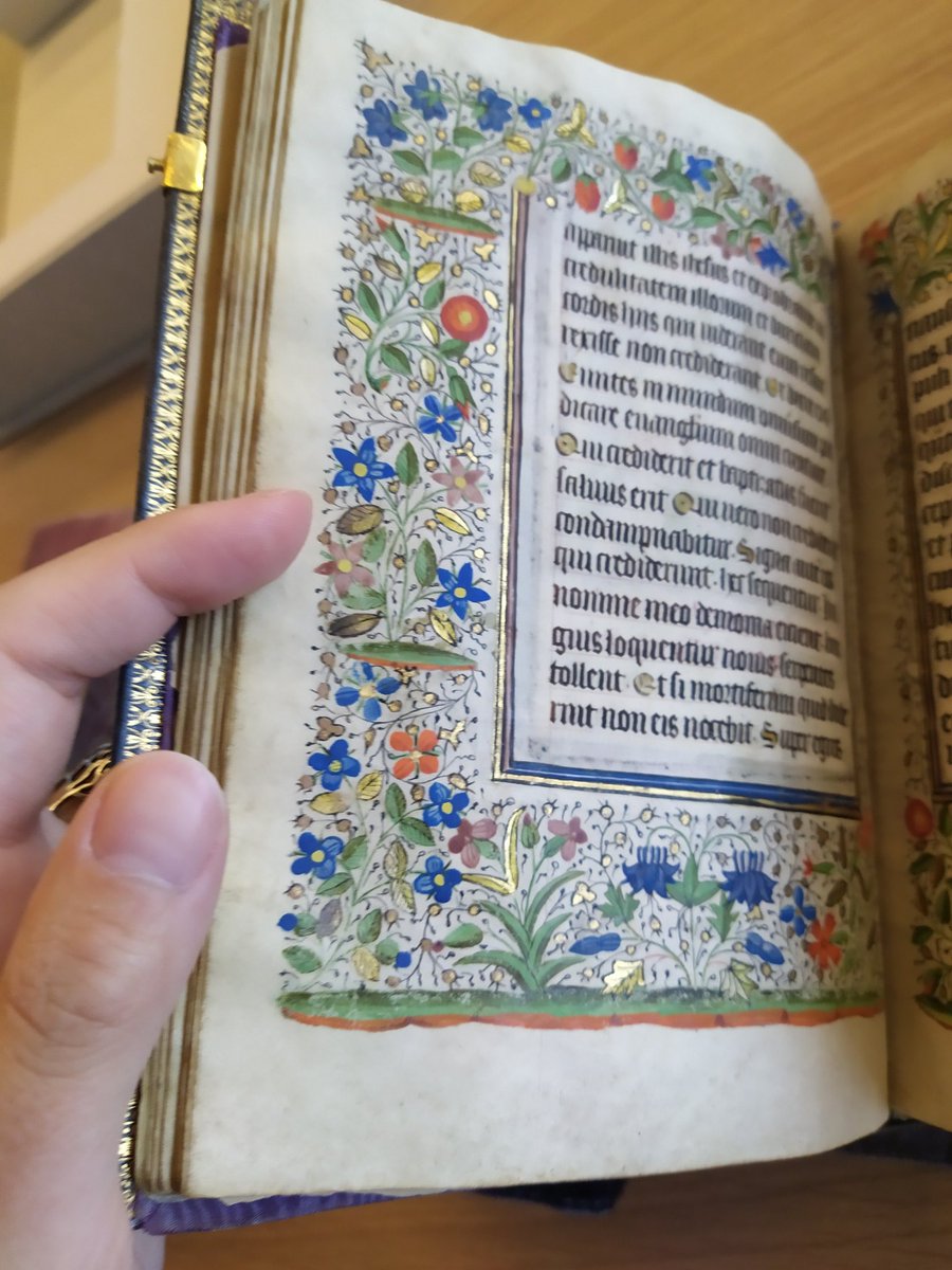 loiseaupha's tweet image. Actuellement squattant gaiement la bibliothèque municipale de Rennes pour ma thèse. 
Vous êtes en votre jalousie, je suis dans mes manuscrits 😎