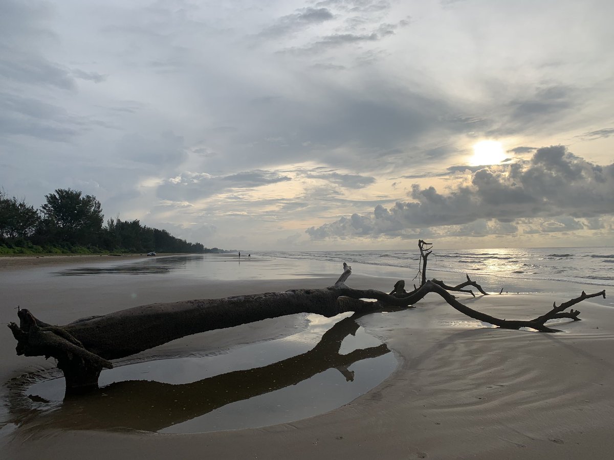 ana_pineda_'s tweet photo. I just found this on the beach... ๐ #walkingmeditation #ifocusandwrite https://t.co/gt7moIPzUf