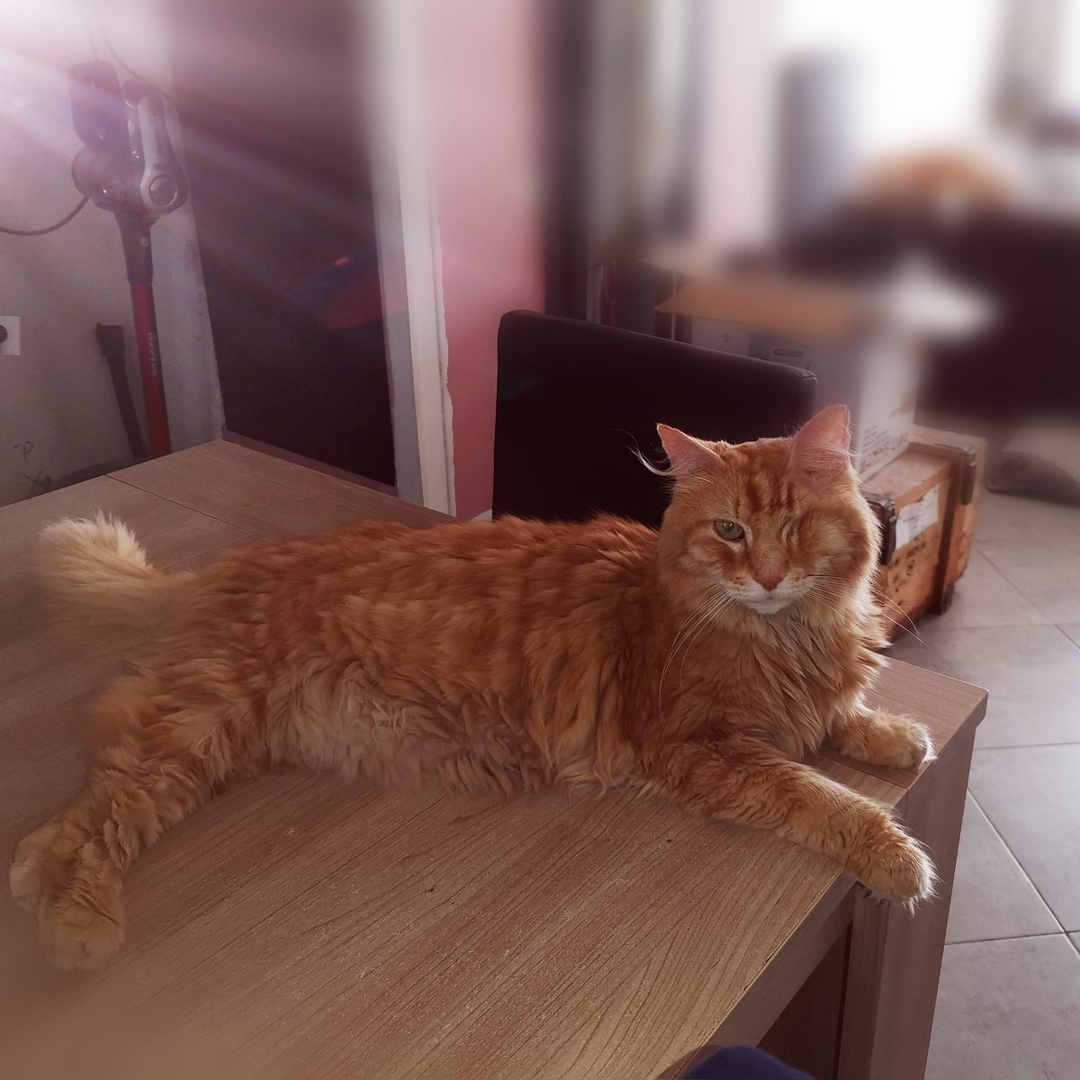 JPlaymo's tweet photo. Au revoir mon trésor tu va énormément me manquer 😢 https://t.co/AQ0VMjkJ1s