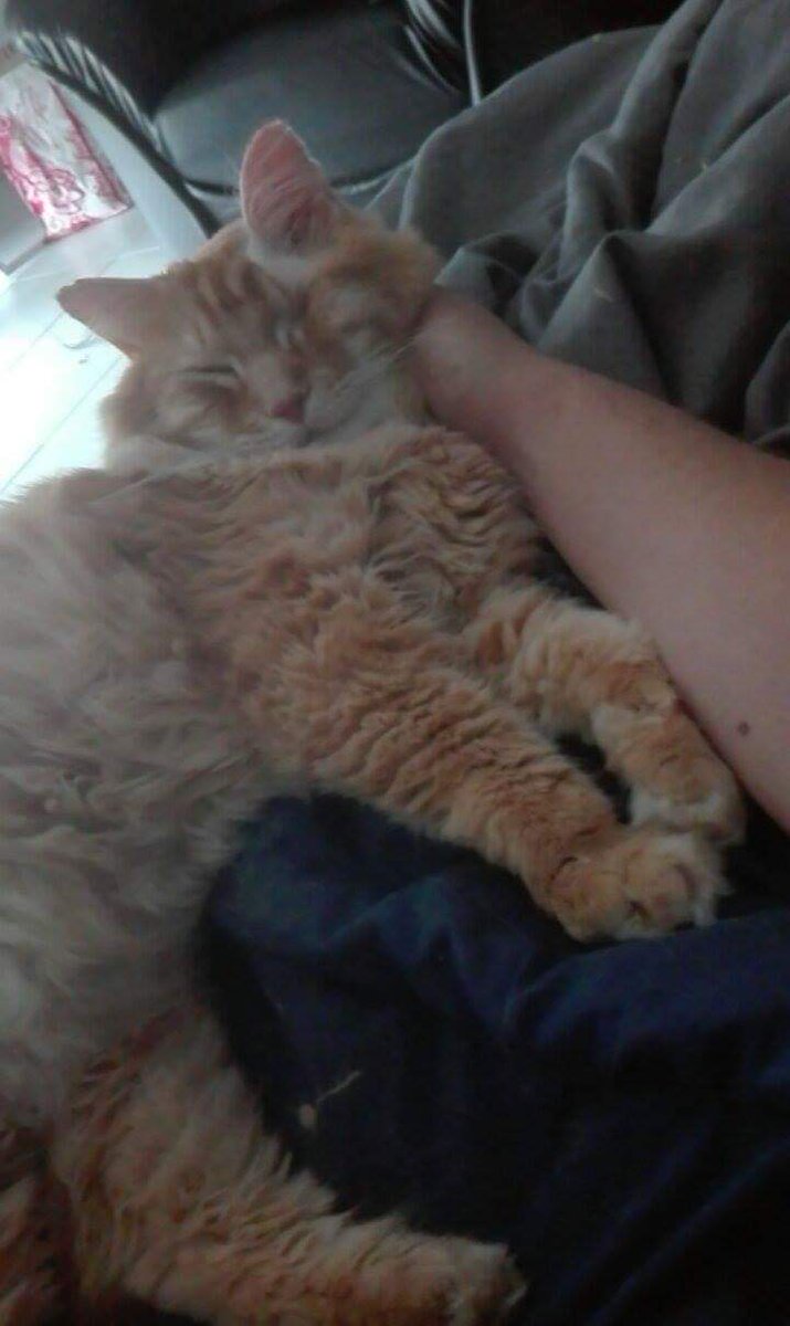 JPlaymo's tweet photo. Au revoir mon trésor tu va énormément me manquer 😢 https://t.co/AQ0VMjkJ1s