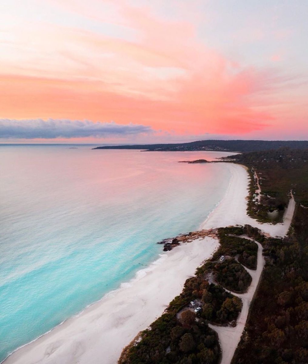 Tasmania Today tweet media