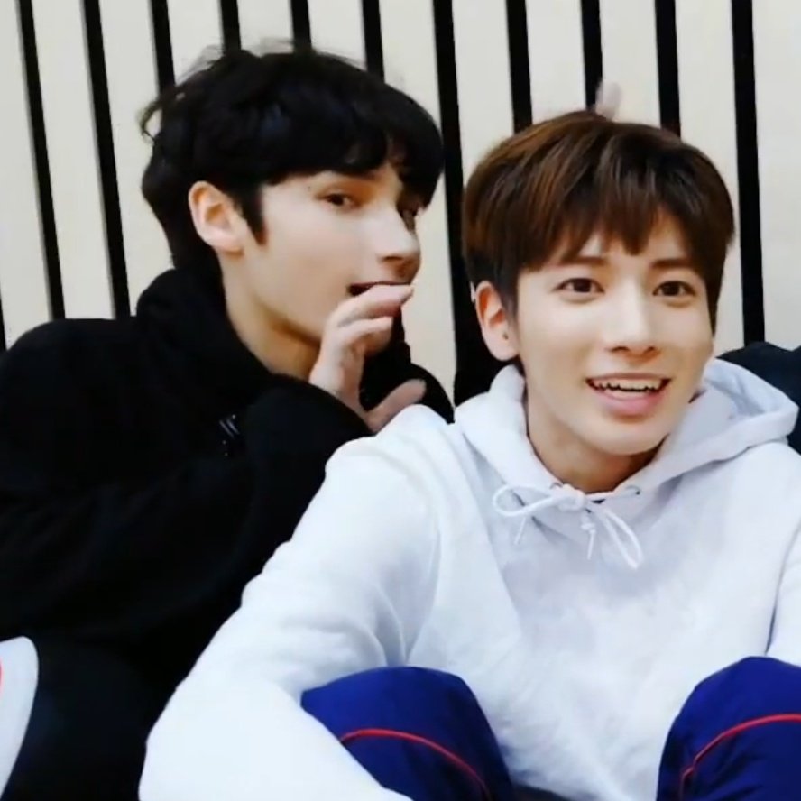 bobatyunie's tweet photo. pls look at them <\\3 the rawr https://t.co/IupyOVeCSL