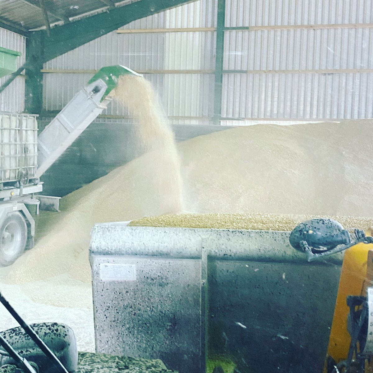 BorewellAngus's tweet photo. 170t of winter barley getting treated and crimped today before heading to the Ag Bag tomorrow! 🌾 https://t.co/DyI3aTfrdK