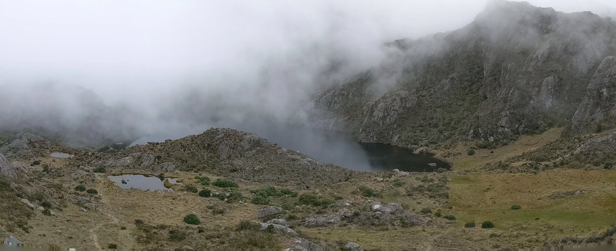 Páramo (noun): a high treeless plateau in tropical South America.A misty Andean ecosystem, a precious carbon sink, the  #páramo of Santurbán has sustained social identity & cultural fabric for centuries.Also: the páramo is life - an essential source of water. 3/
