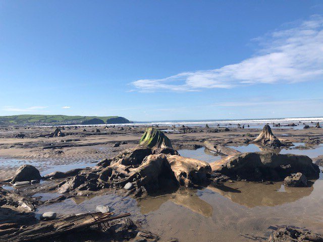 LI_Wales's tweet photo. Here’s the final 3 entries to the LI #wales #LI90 #photo competition.
We’ve not forgotten!
Pic 1: Winter light, Rhossili Bay by Olwen Maidment
Pic 2: Borth fossilised forest, Borth by Jill Bullen
Pic 3: Spring high tide, Cardiff Barrage by Steve Mann
@talklandscape #landscape https://t.co/4OSgWCObQU