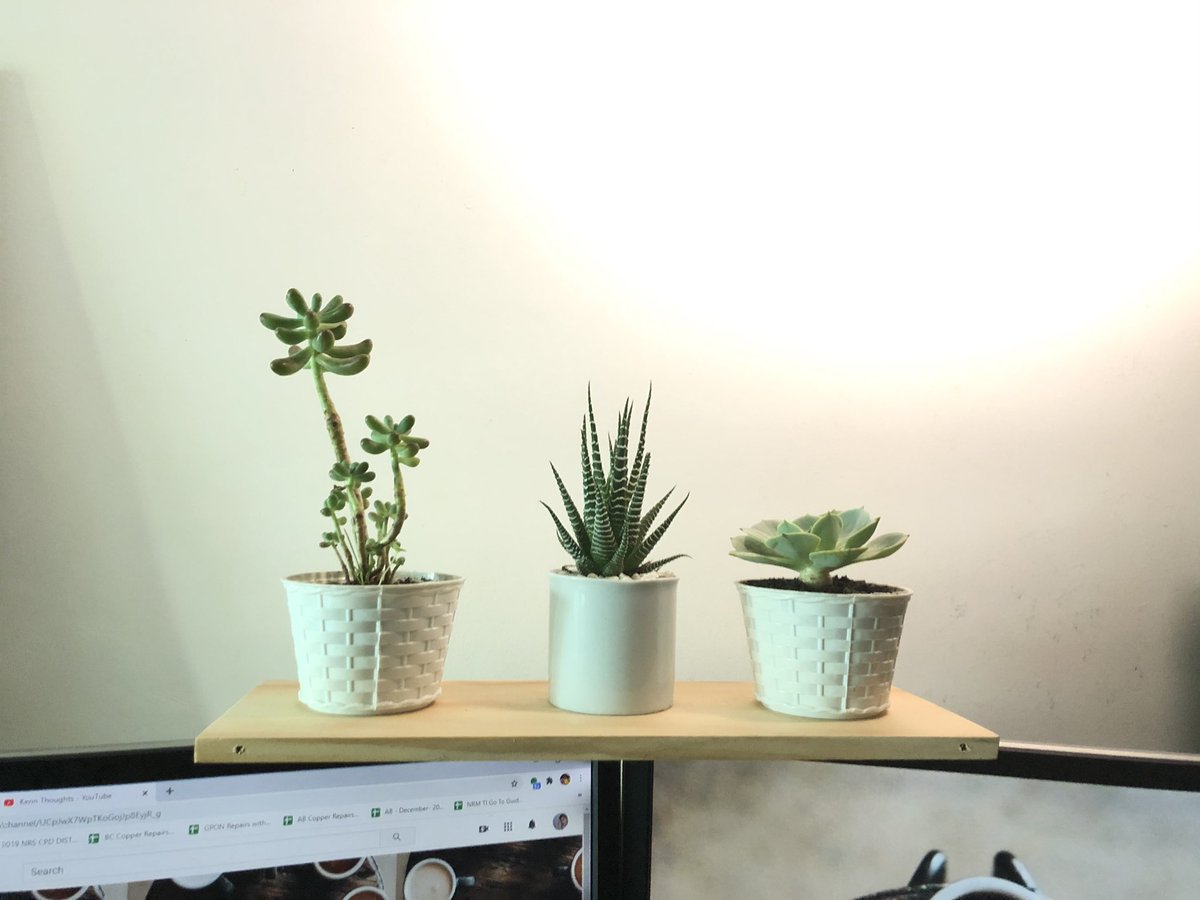 kennthoughtss's tweet image. We just watched Hello Stranger with my babies, Stormy, Sunny and Tuzini #ProudPlantMama #HelloStrangerEP5