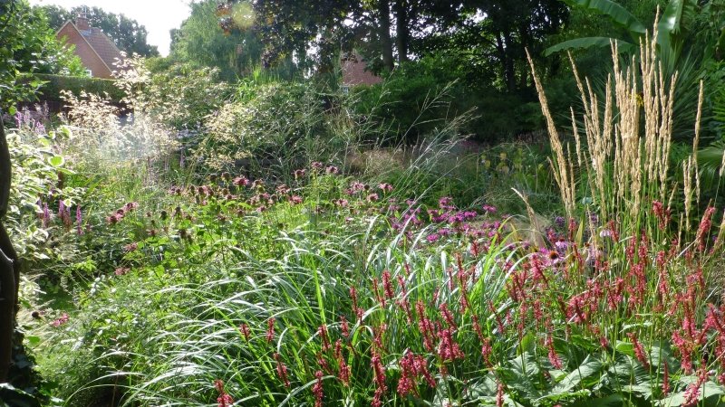 Don't miss our next garden opening: 35 Digswell Road, Welwyn Garden City!

4 slots available from 12pm on Sunday 26th July. 

🎟️ Limited tickets available - ow.ly/9ZSS50AElY7

#hertsgardens #ngs #opengardens