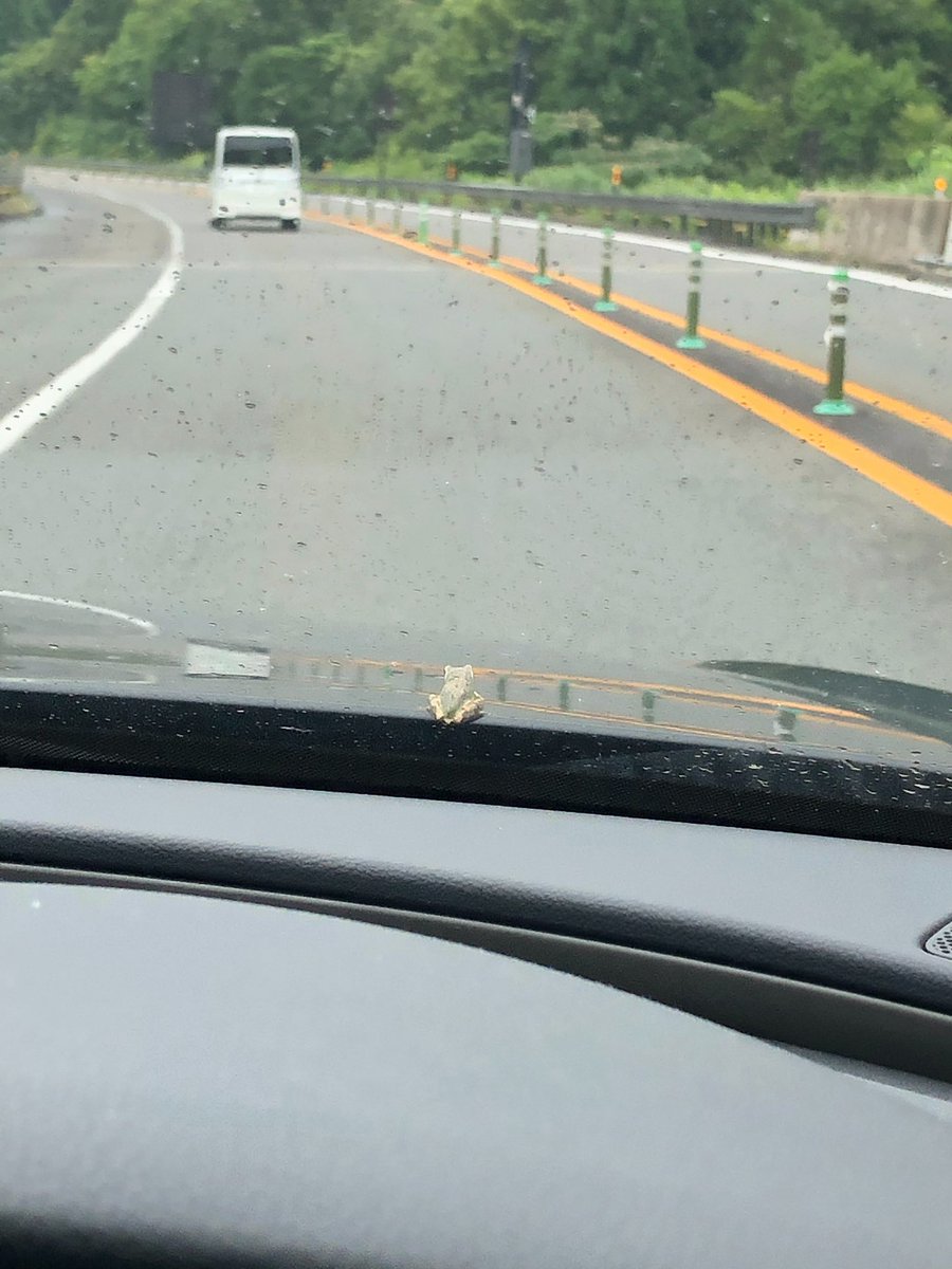 zorro1224's tweet photo. ライディングかえるちゃん https://t.co/RxQ4JcHaz4
