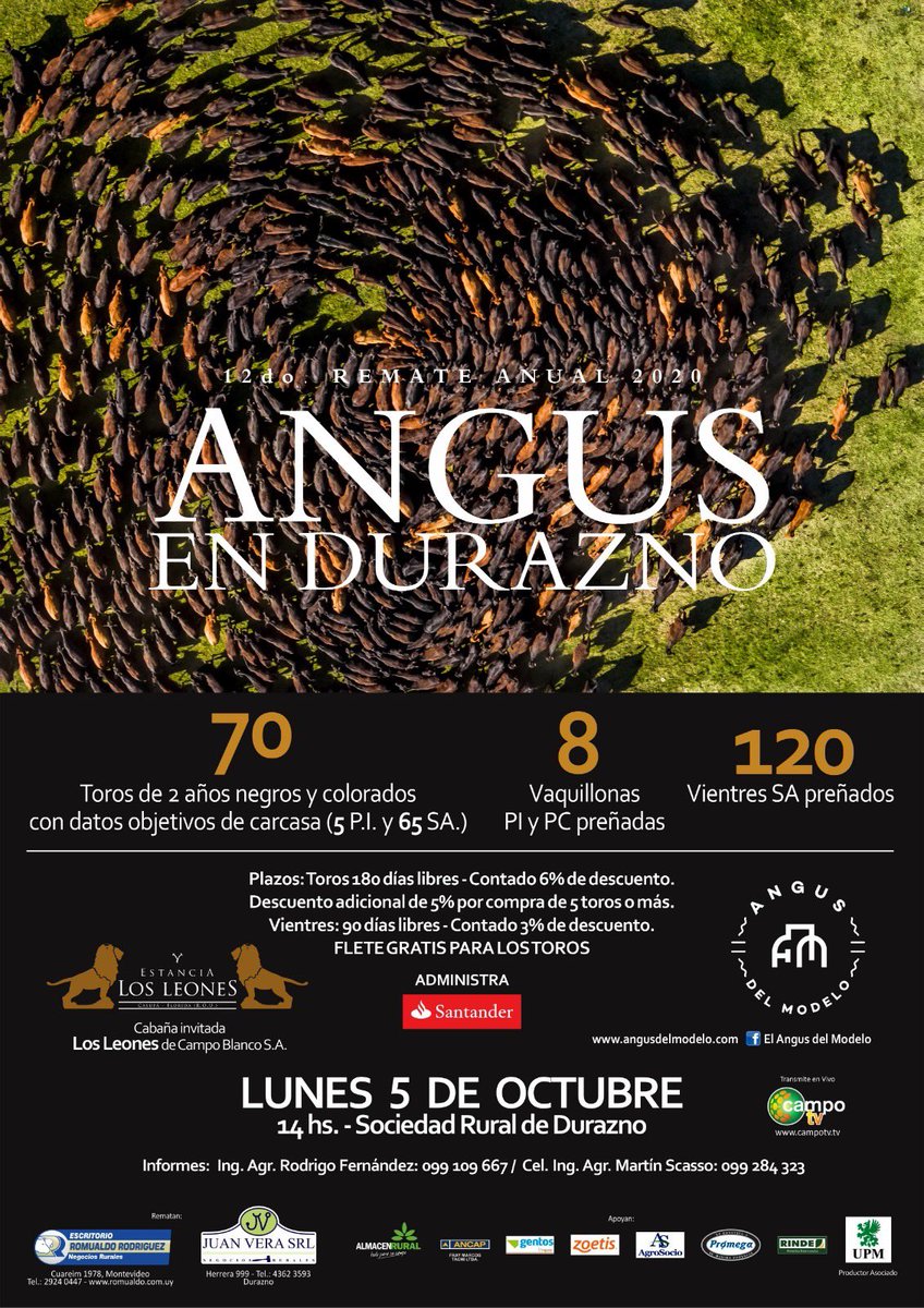 juanveratis's tweet photo. https://t.co/xrXwlQC0Qs