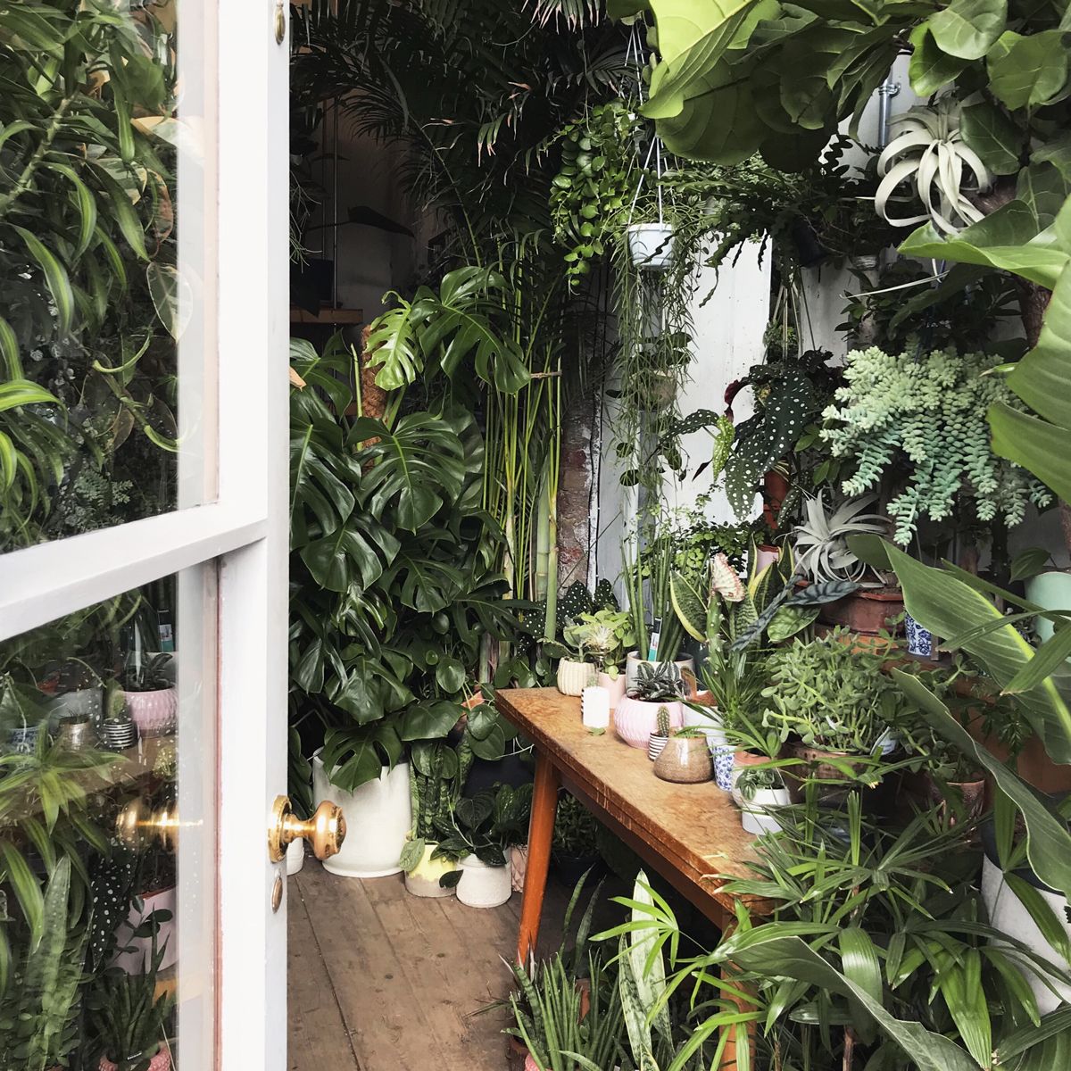 Kip Hotel tweet media