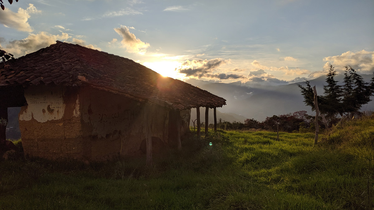 The international investment regime is part of the problem. There are issues about who has a say in  #ISDS & whose rights are considered, but reforming ISDS procedures would not address the more fundamental questions about the overall architecture of foreign investment. 14/