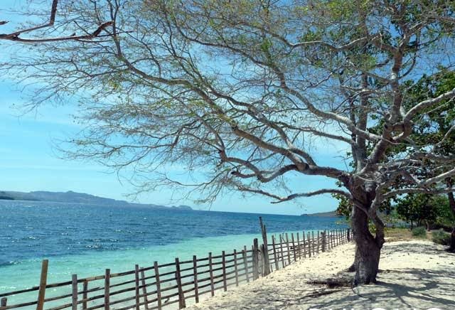 TourPromotionPh's tweet photo. Ambulong Island, Occidental Mindoro.
#PinasMuna #travel #wowph #choosephilippines #VisitPhilippines #itsmorefuninthephilippines https://t.co/6br38ejpB6