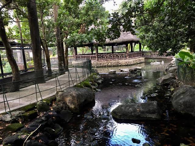 TourPromotionPh's tweet photo. Pasig Rainforest Park.
#PinasMuna #travel #wowph #choosephilippines #VisitPhilippines #itsmorefuninthephilippines https://t.co/ZxytBnb5st