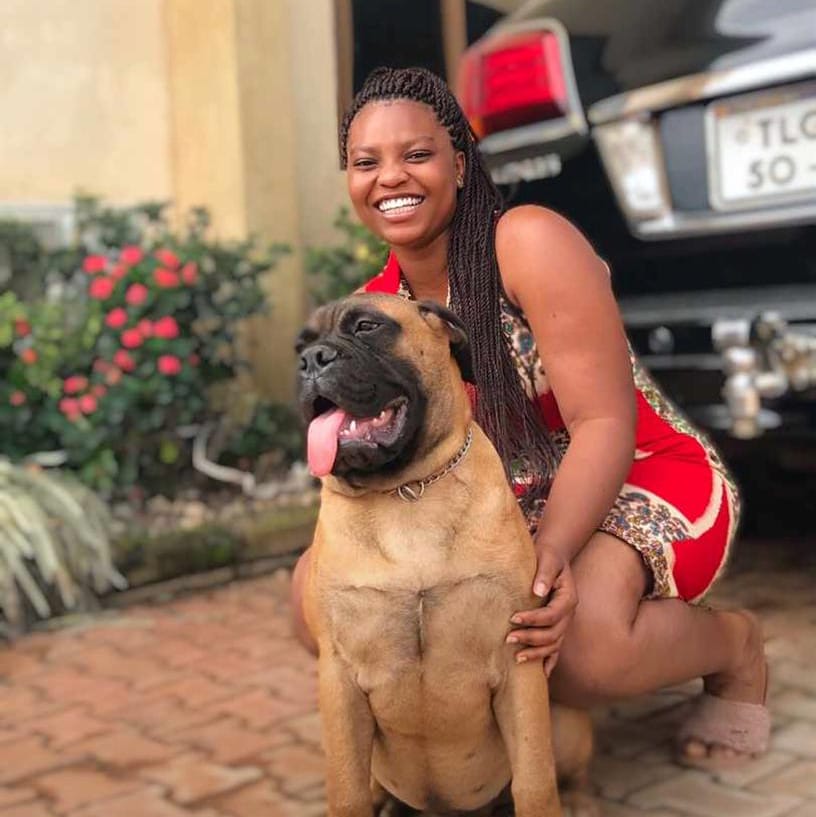 ghdogblogger's tweet photo. Did you know that ladies who love dogs make the most amazing wives?
-
Follow @ghdogblogger for more dog content.
-
#bullmastiff #bullmastiffs #bullmastiffpuppies #ghdogblogger #dogblogger #dogblog #dogghana #ghdogs #dogsgh #ghanadog #ghana #africadog #dogafrica #nigeriadogs https://t.co/UN42RXYd1D