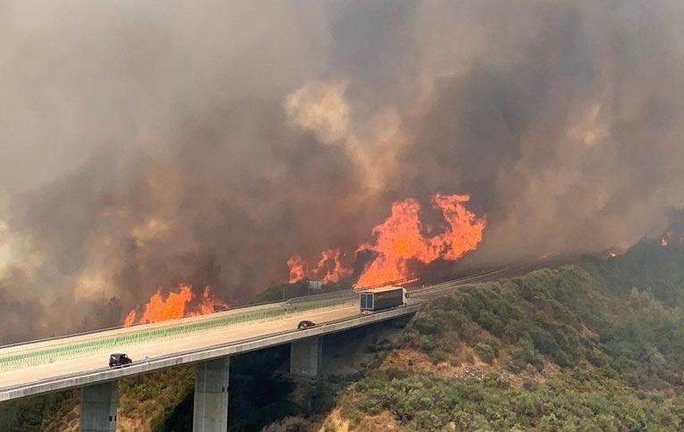 MCorrectora's tweet photo. Mira, Albertiño, esto é a túa “Galicia, Galicia, Galicia”. Na miña Galiza limpariamos os montes no inverno no canto de deixalos arder no vrao. @FeijooGalicia @NestorRego @noaourense @anaponton https://t.co/ksfnbGnWJV